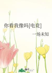 你看我像吗[电竞] 封面