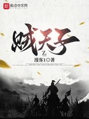 贼天子 封面