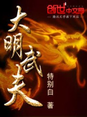 大明武夫 封面