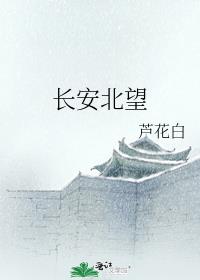长安北望 封面