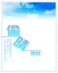 偷晴 封面