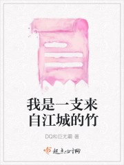 我是一支来自江城的竹 封面