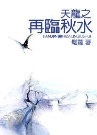 天龙之再临秋水 封面