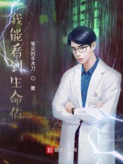 我能看到生命值 封面