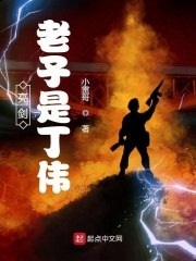 亮剑:老子是丁伟 封面