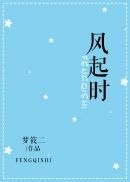 风起时 封面