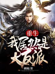 重生我居然是大反派 封面