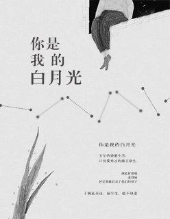 你是我的白月光 封面
