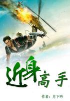 近身高手 封面