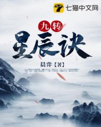 九转星辰诀 封面