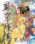 凤穿残汉 封面