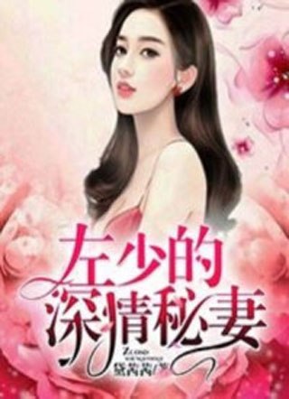 许愿左占 封面