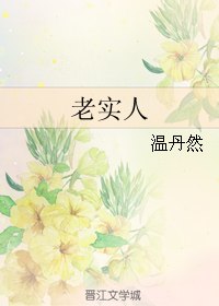 老实人 封面