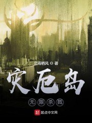 灾厄岛:无限杀戮 封面