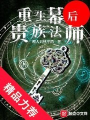 重生幕后贵族法师 封面